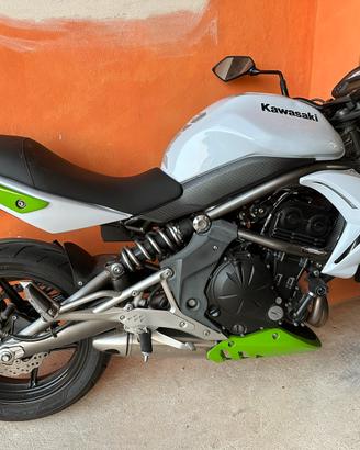 Kawasaki er6n