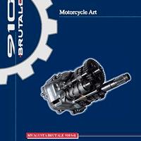 TRATTATO  MV AGUSTA BRUTALE 910 S-R