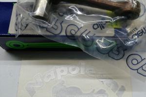 Metropolis Peugeot biella