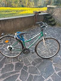 Bici bianchi Activa city