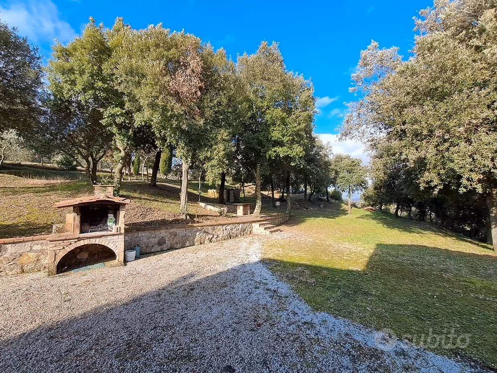 Tenuta agricola in collina Volterra Pisa - Altro