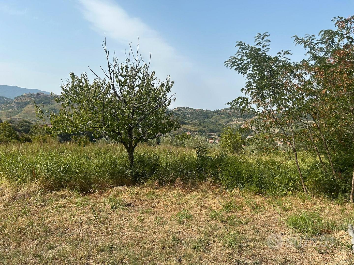 Terreno agricolo edificabile Castrolibero - Vista 5