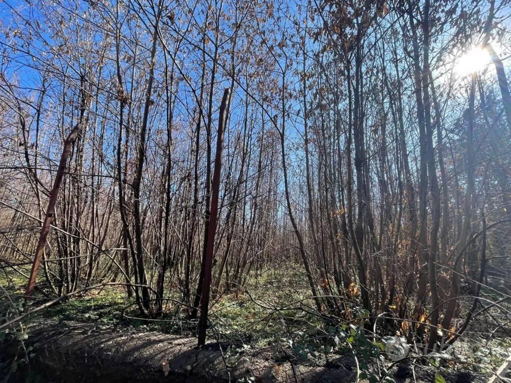 Immobile in asta di 5642 m² a Pedara - Vista 4
