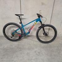 Mountain bike- Trek Roscoe 7