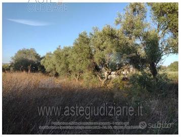 Terreno Agricolo Vasto [A4359704]