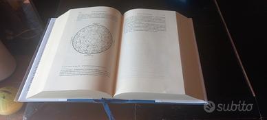 Adelphi - Giordano Bruno - Opere magiche