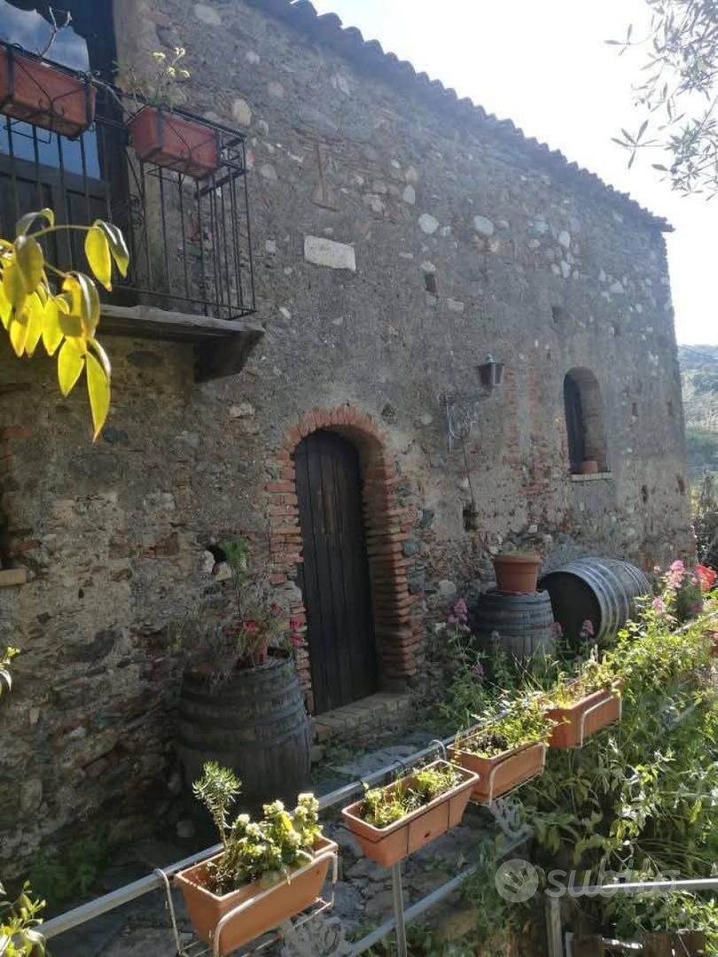 S.Fantino tenuta uliveto vitigno stalla casa - Vista 3