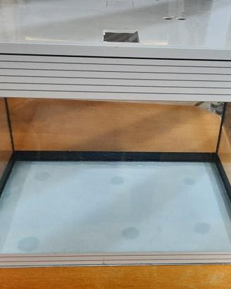 acquario askoll pure 68 litri