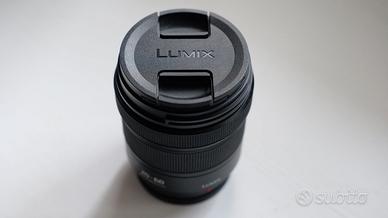 Panasonic Lumix S 20-60mm