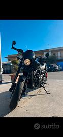 Harley-davidson street rod 750
