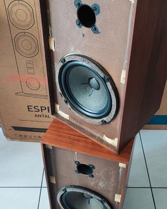 coppia diffusori RCf BR 22