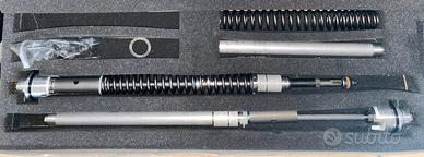 Cartucce forcella R6