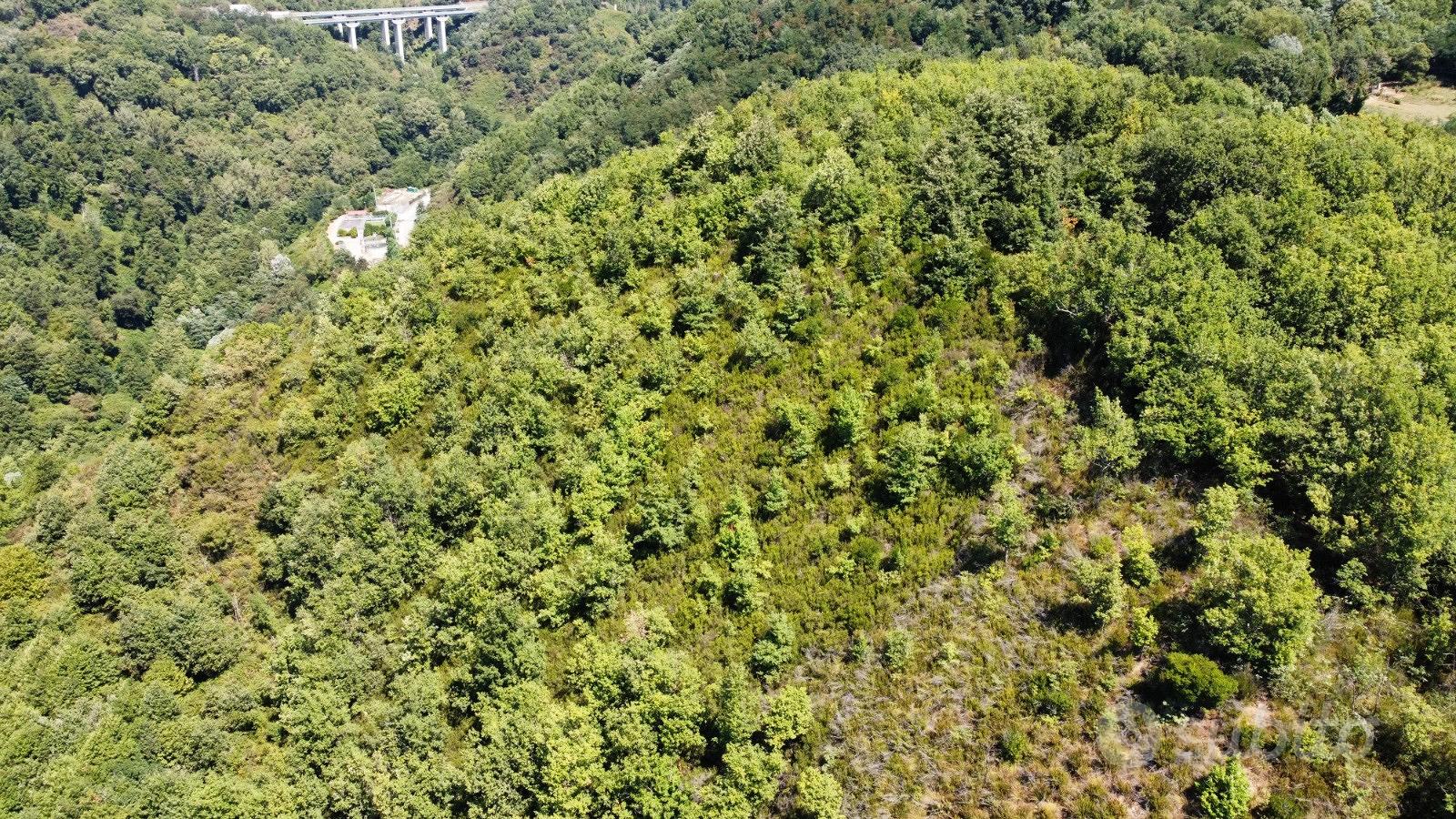 Terreno di 35000 mq - View 4