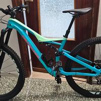 Bicicletta inutilizza  dopo infortunio sugli sci