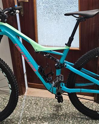 Bicicletta inutilizza  dopo infortunio sugli sci