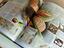 Immagine 4