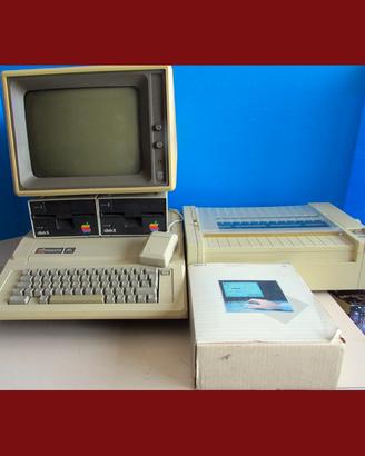 Apple II e completo di Hard Disck Monitor Stampant