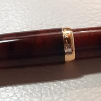 Penna stilografica Inoxcrome da collezione 