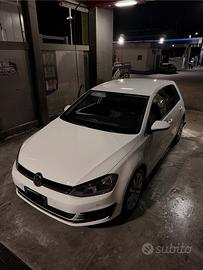 Golf 7,   Bianca   1.6