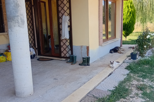 Afito porzione di Villa . Entrata indipendente