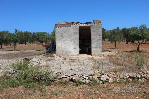 TER. AGRICOLO A CAROVIGNO