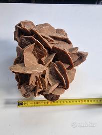 Grande Rosa del Deserto naturale XXL