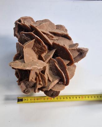 Grande Rosa del Deserto naturale XXL