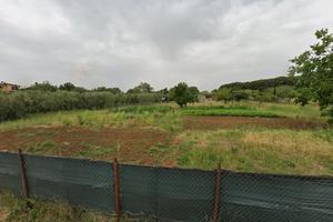Terreno ARDEA Castagnetta 3000mq
