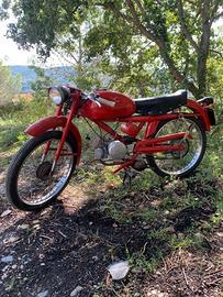 Moto guzzi cardellino