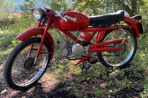 Moto guzzi cardellino