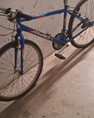 bicicletta Atala donna