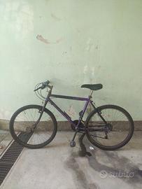 mtb bicicletta 