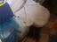 Immagine 3