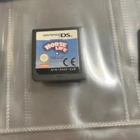 Videogame horse life