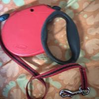 Guinzaglio Flexi per cani piccola taglia 5 metri