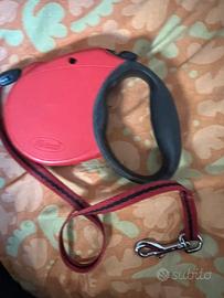 Guinzaglio Flexi per cani piccola taglia 5 metri