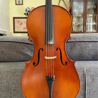 Violoncello GEWA Pure