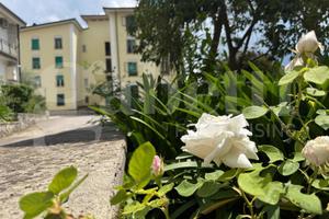 Appartamento Piedimonte Matese