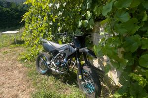 Beta rr 50 (86 tpr)
