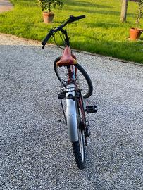 mountain bike 24 pollici