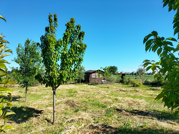 Terreno agricolo