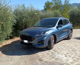 Ford Kuga 1.5 EcoBlue 120 CV aut. 2WD ST-Line