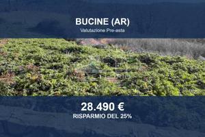 Immobile in asta di 34322 m² a Bucine
