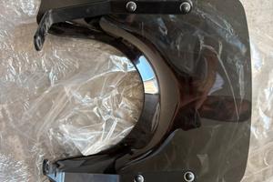 Vetro ant vespa