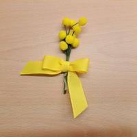 Mimosa - idea regal. per festa della donna