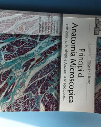Libro universitario di anatomia.