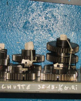 ingranaggio plurimandrino schutte SE18-16-25 giri