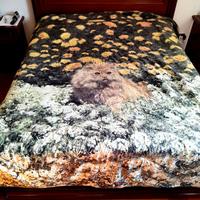 Trapunta fantasia gatto double face 