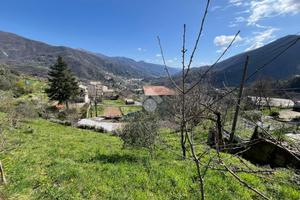 TER. RESIDENZIALE A CICAGNA