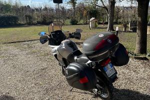 Transalp 650cc
